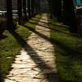 Foto-76484