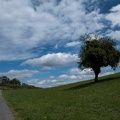 Foto-75226