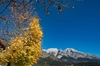 Foto-76245