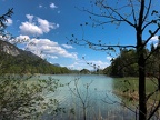 Foto-78315