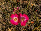 Foto-90018