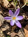 Foto-91165