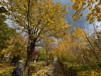 Foto-98798