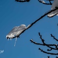 Foto-100987