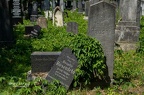 Foto-105368