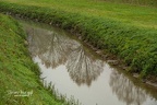 Foto-109805