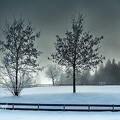Foto-110021