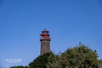 Foto-140988